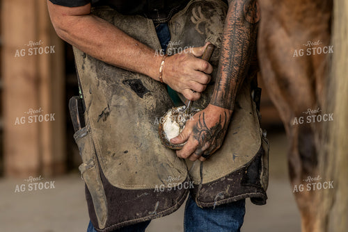 Farrier 188173