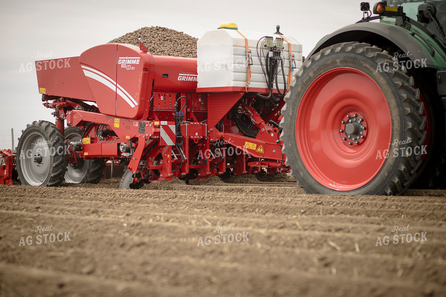Planting Potatoes 135086