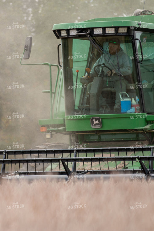 Soybean Harvest 157100