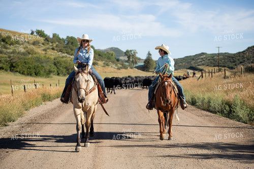 Cowboy and Cowgirl on Horseback 117406