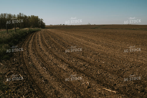 Freshly Planted End Rows 3998