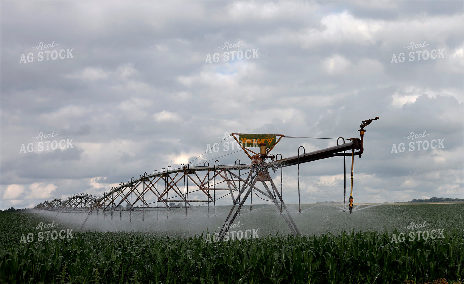 Irrigating Corn Field 141614