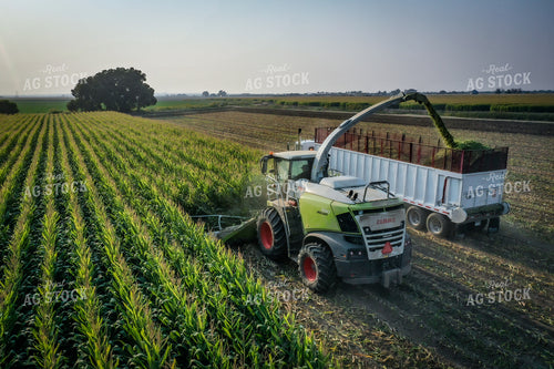 Silage Harvest Drone 56202