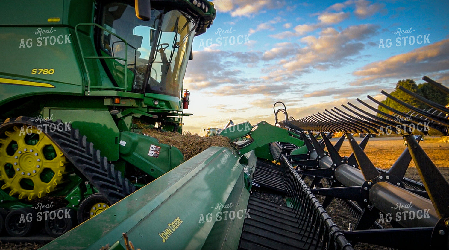 Soybean Harvest 273016