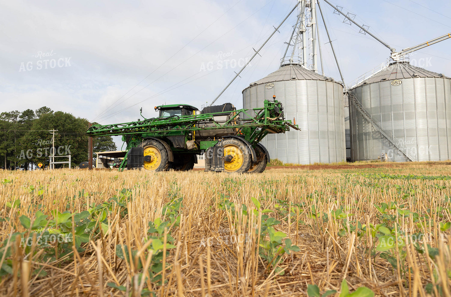 Spraying Cotton 79690