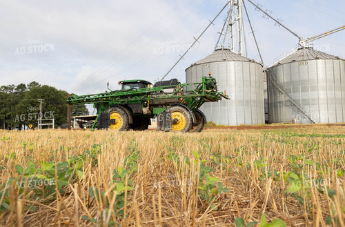 Spraying Cotton 79690