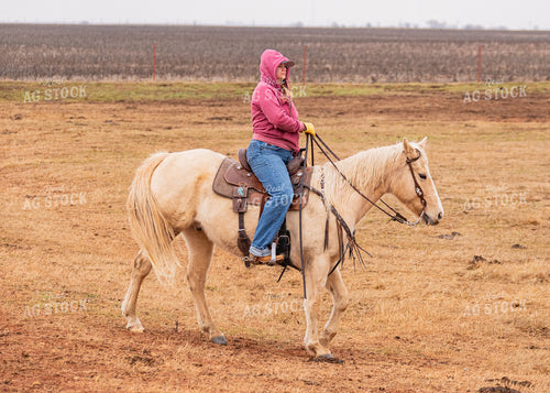 Rancher on Horseback 231054