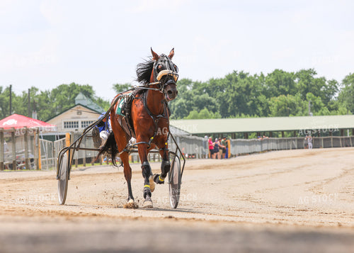 Horse Racing 160250