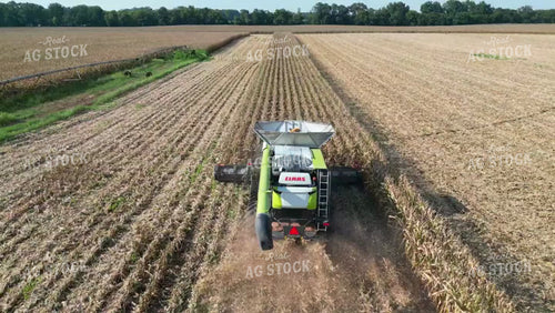 Aerial of Corn Harvest 149046