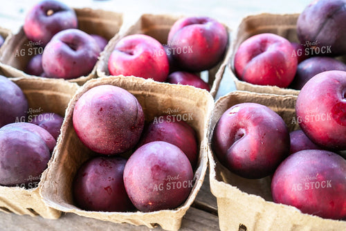 Plums 128131