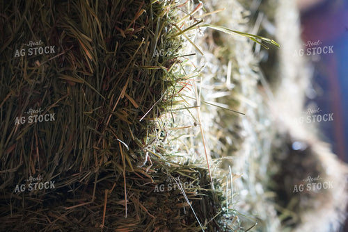 Square Hay Bales 235001