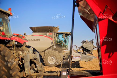 Soybean Harvest 93072