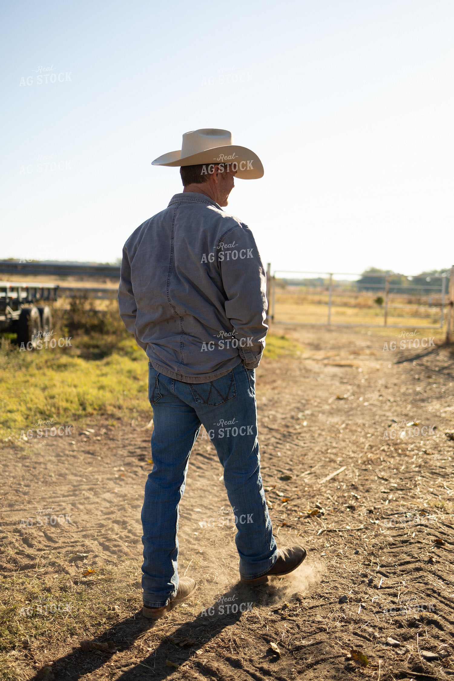 Rancher Walking 71028
