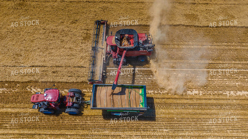 Wheat Harvest 199050