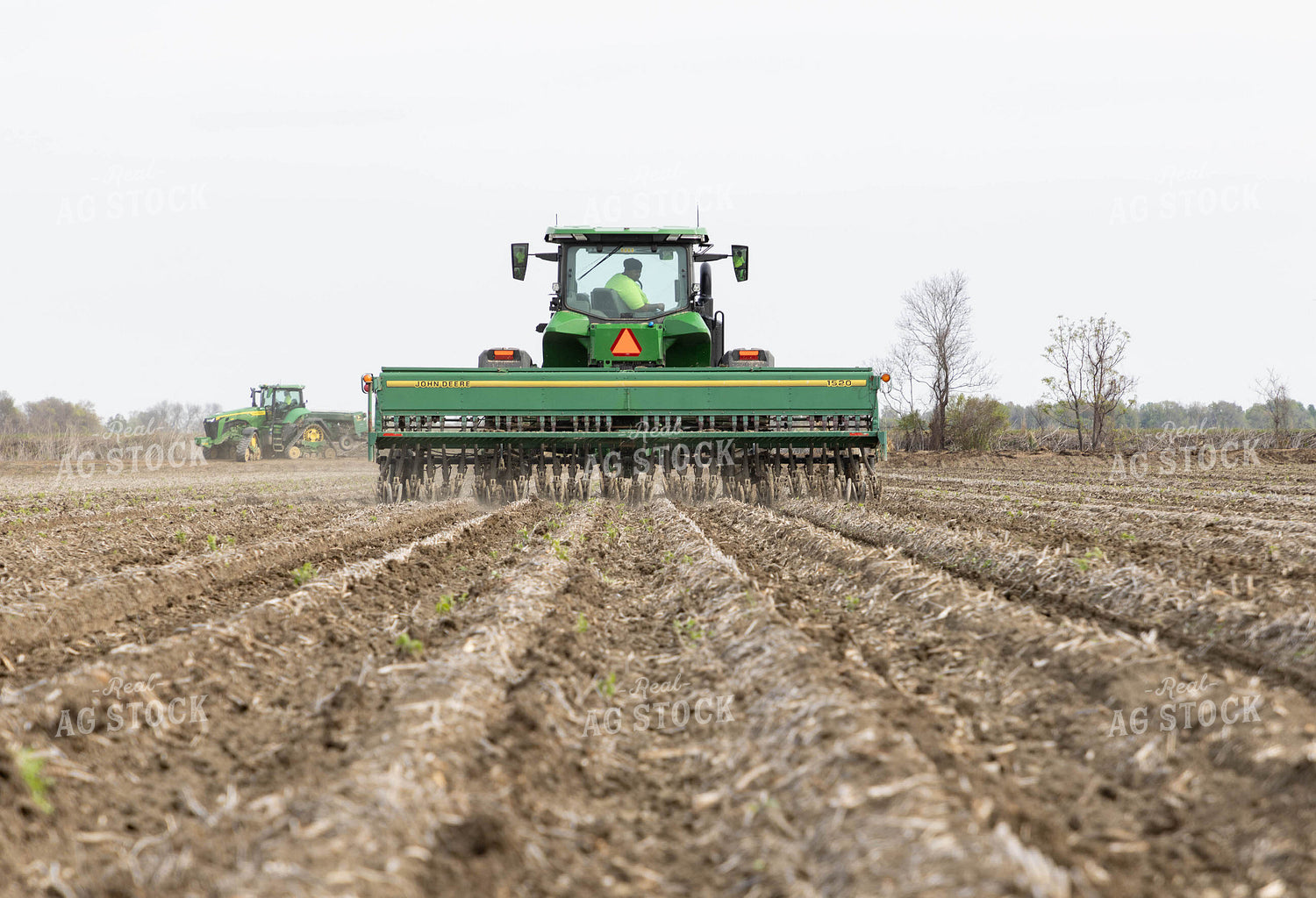 Drilling Rice 79593