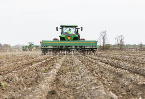 Drilling Rice 79593