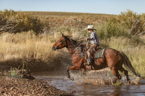 Ranch Kid Riding in Creek 188049
