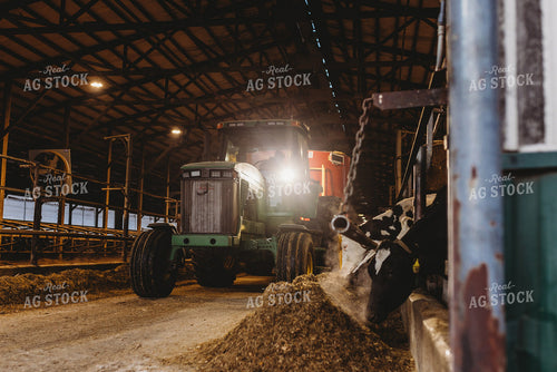 Feeding Total Mixed Ration to Holstein Cattle 152240
