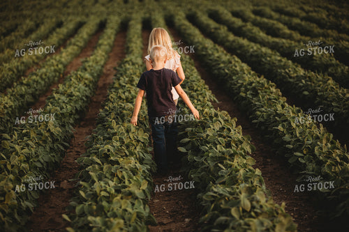 Farm Kids in Soybean Field 4563