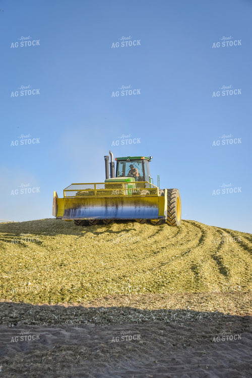 Compacting Silage 56519