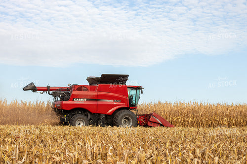Combine Harvesting Corn 67145