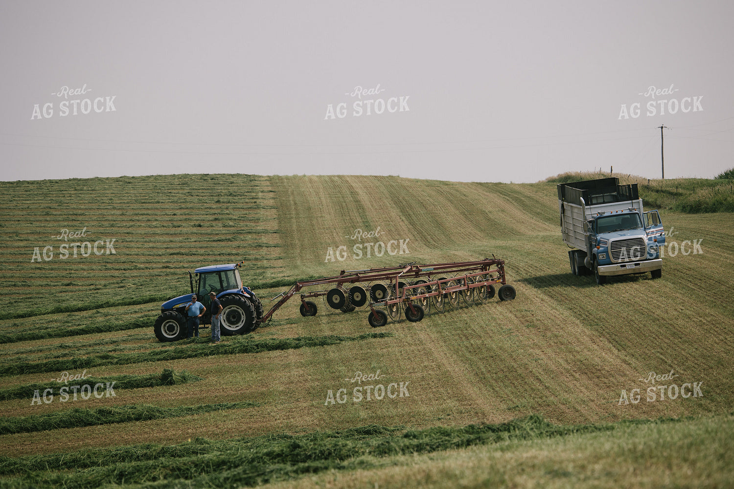 Farmers Talking and Windrowing Hay Silage 70071