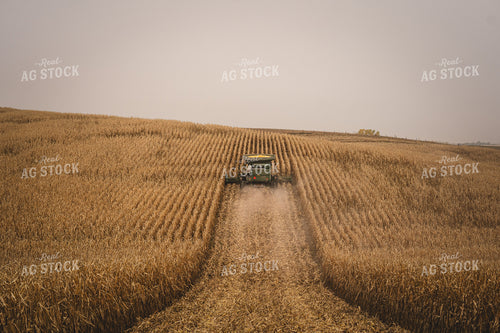 Harvest 196030