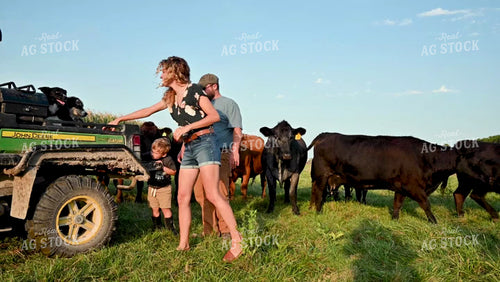 Farm Family in the Cattle Pasture - 362