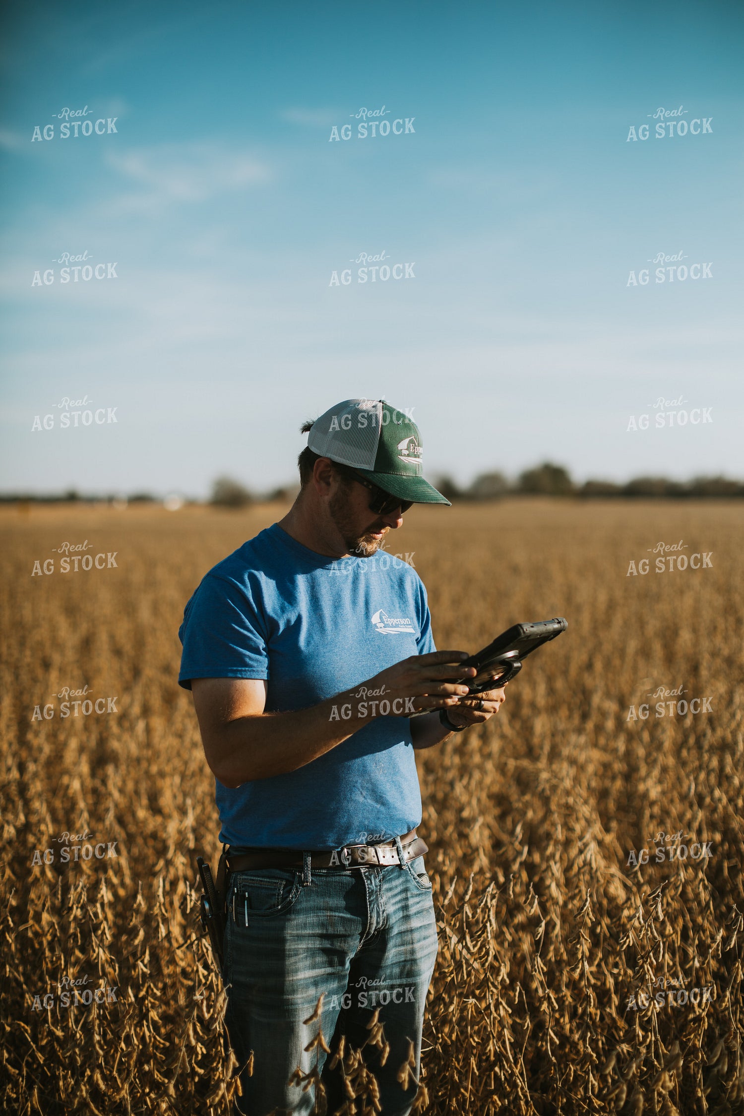 Farmer in Field with Tablet 7166