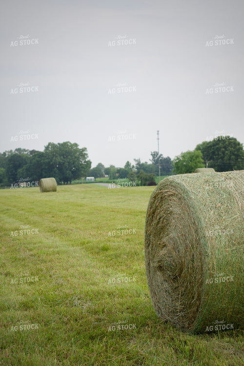 Round Hay Bales 251164