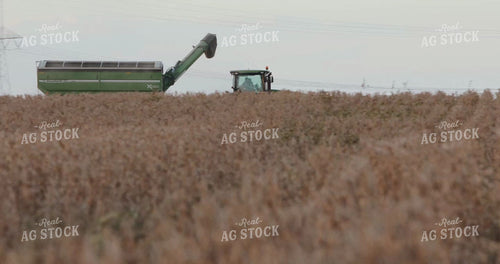Grain Cart Pulling Alongside Combine Cutting Soybeans 3965