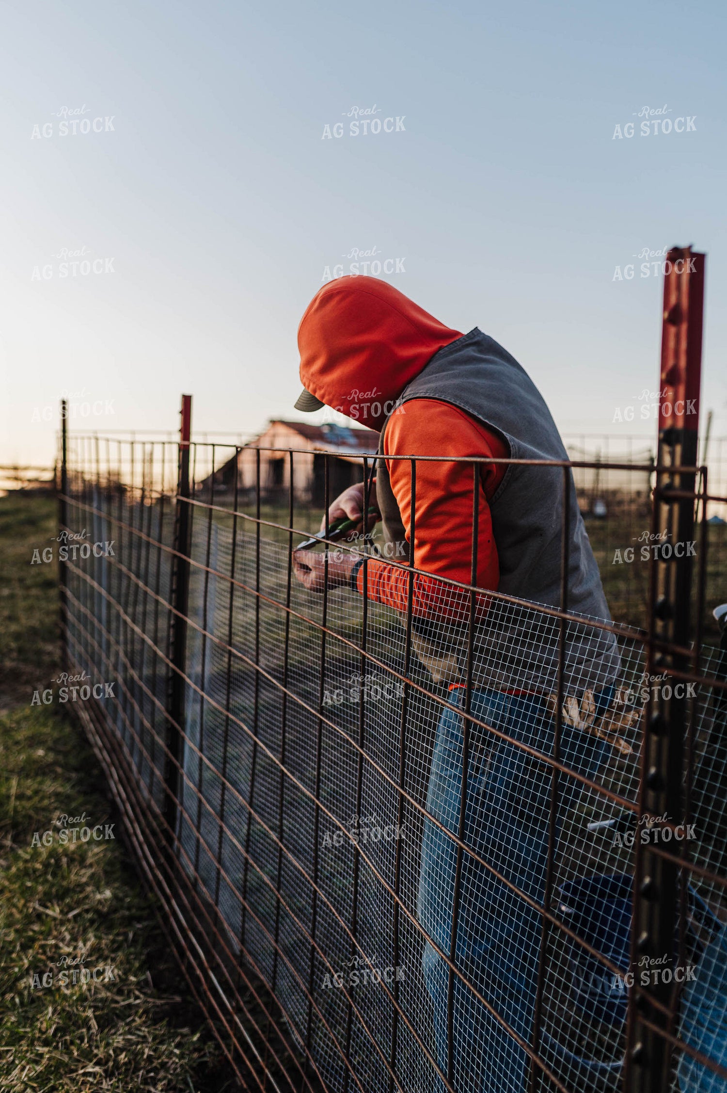 Farmer Fixing Fence 115143
