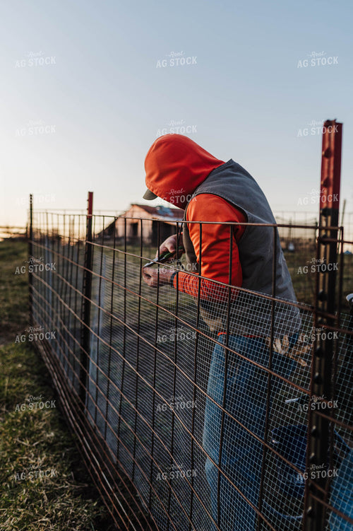 Farmer Fixing Fence 115143
