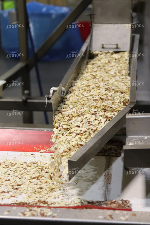 Almond Processing 102118