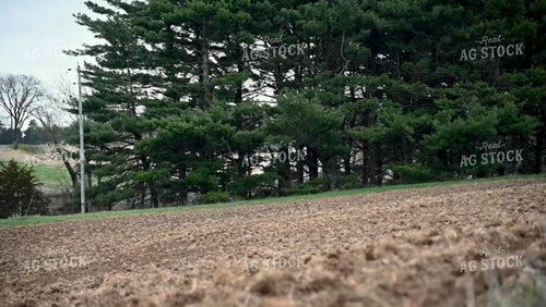 Planting into Tilled Cover Crops - 185