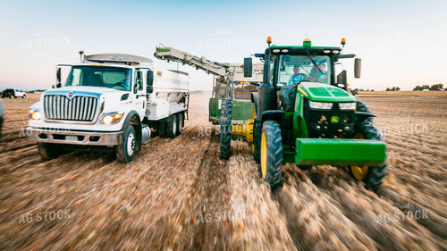 Onion Harvest 56723