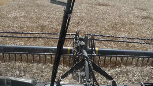 View from the Combine Cab of Wheat Harvest 227002