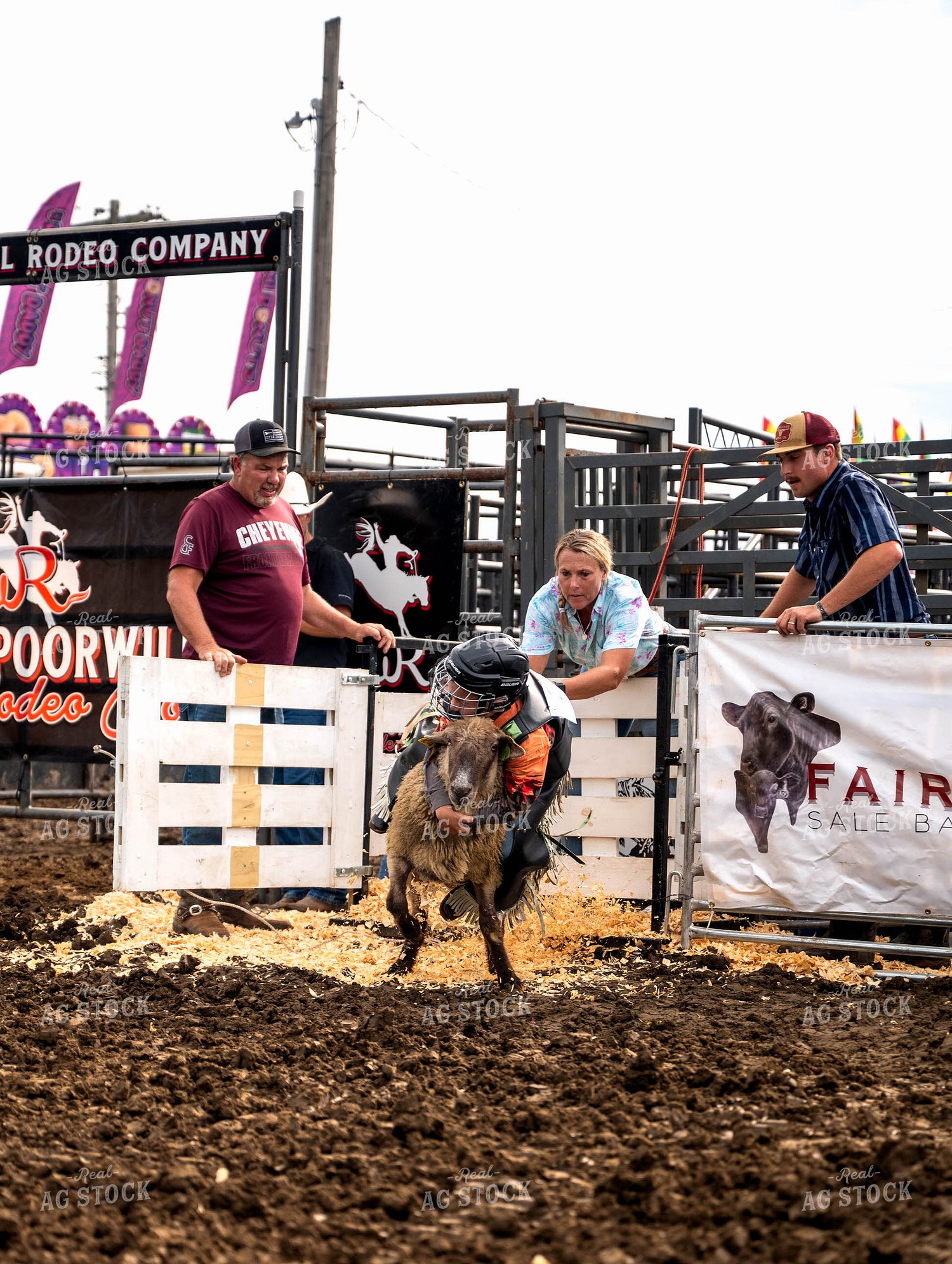 Mutton Busting 115839