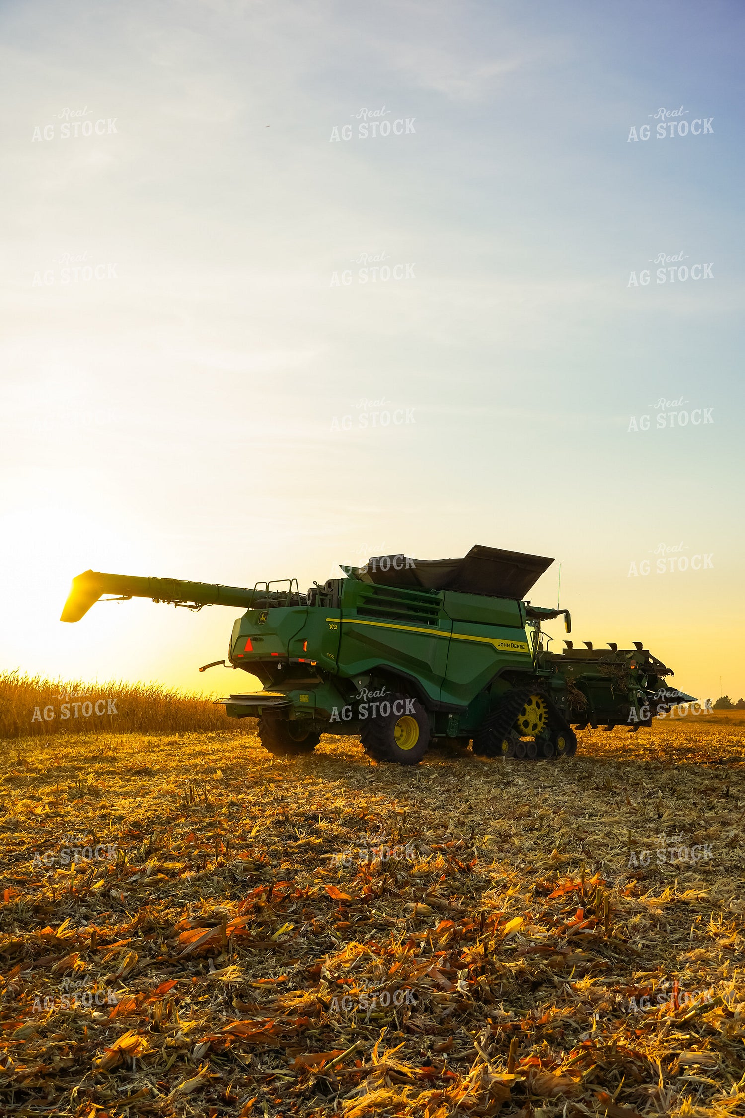 Corn Harvest 273013