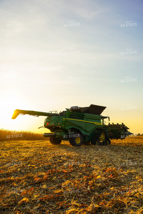 Corn Harvest 273013