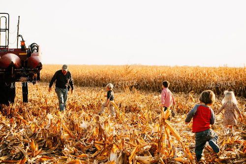 Farm Family in Corn Field 223020