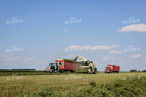 Harvesting Hay 152651
