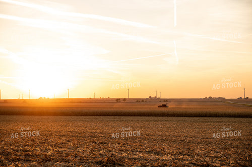 Combine Harvesting Corn at Sunset 25847