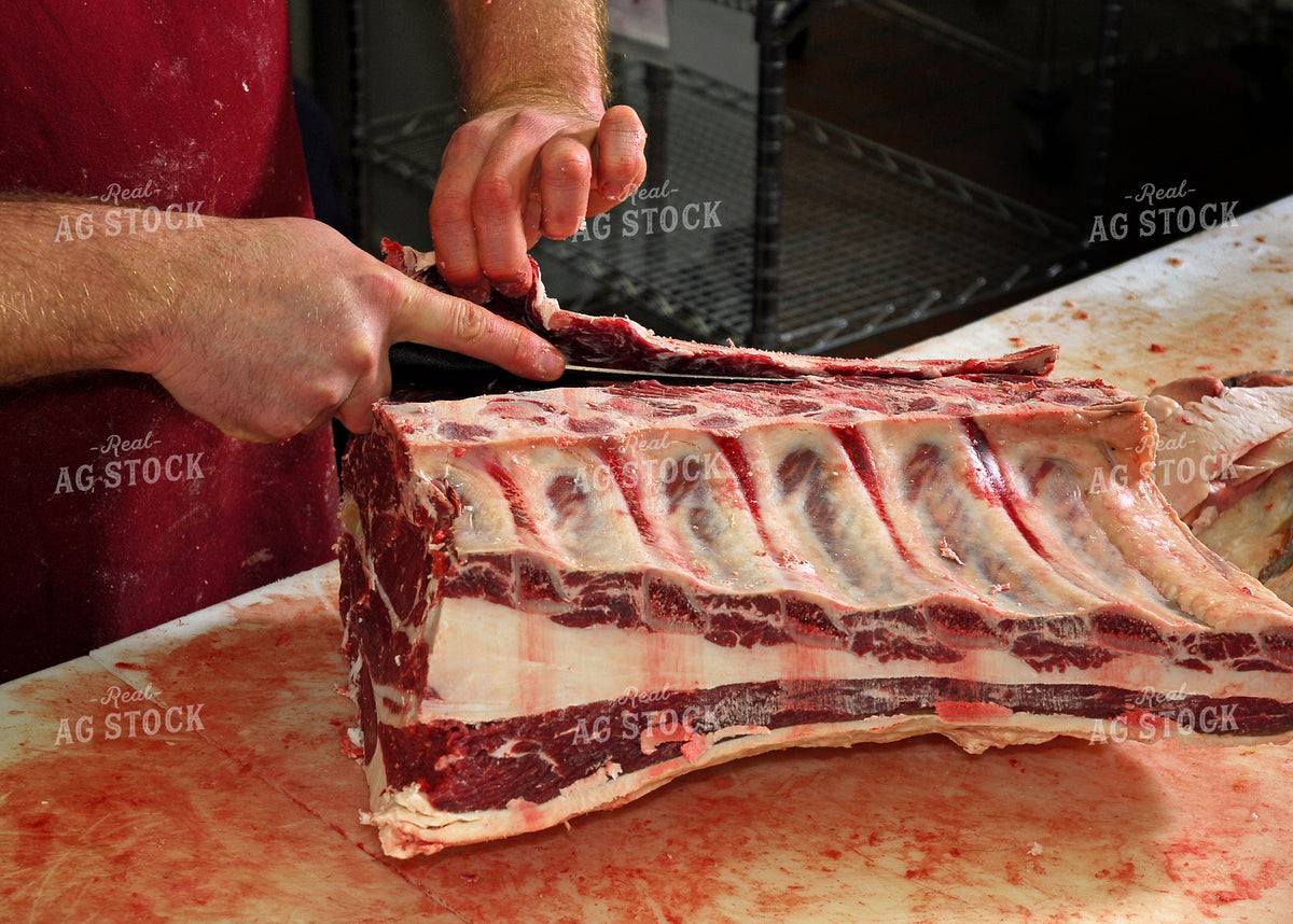 Processing Beef 154113