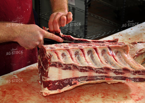 Processing Beef 154113