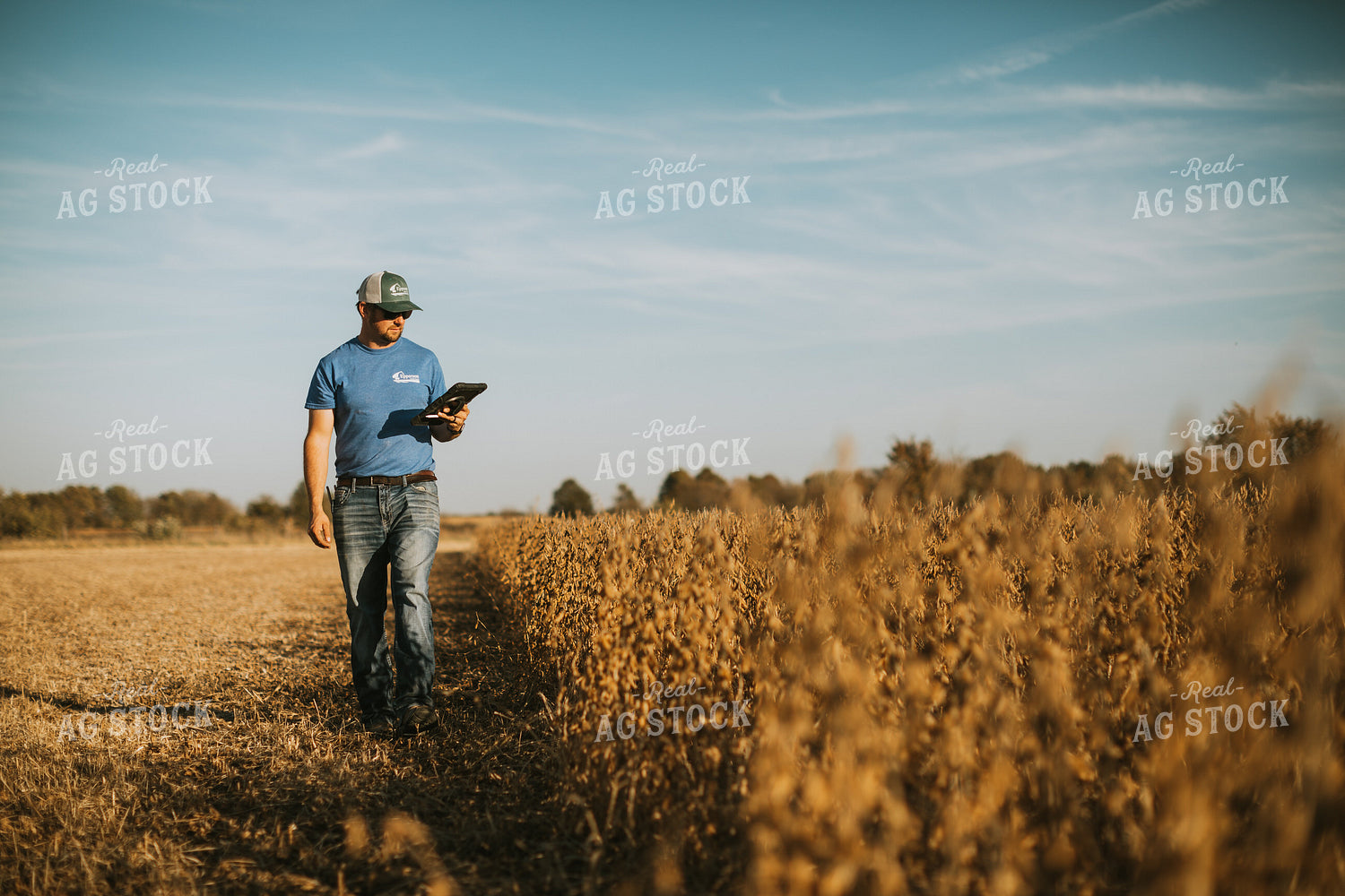 Farmer in Field with Tablet 7174