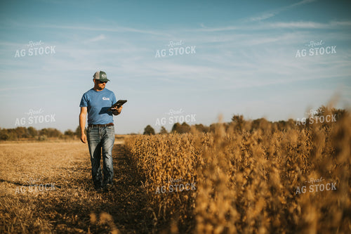 Farmer in Field with Tablet 7174