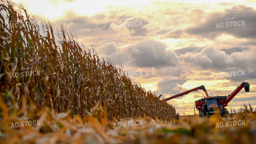 Combine Unloading Corn into Auger Wagon on the Go 25646