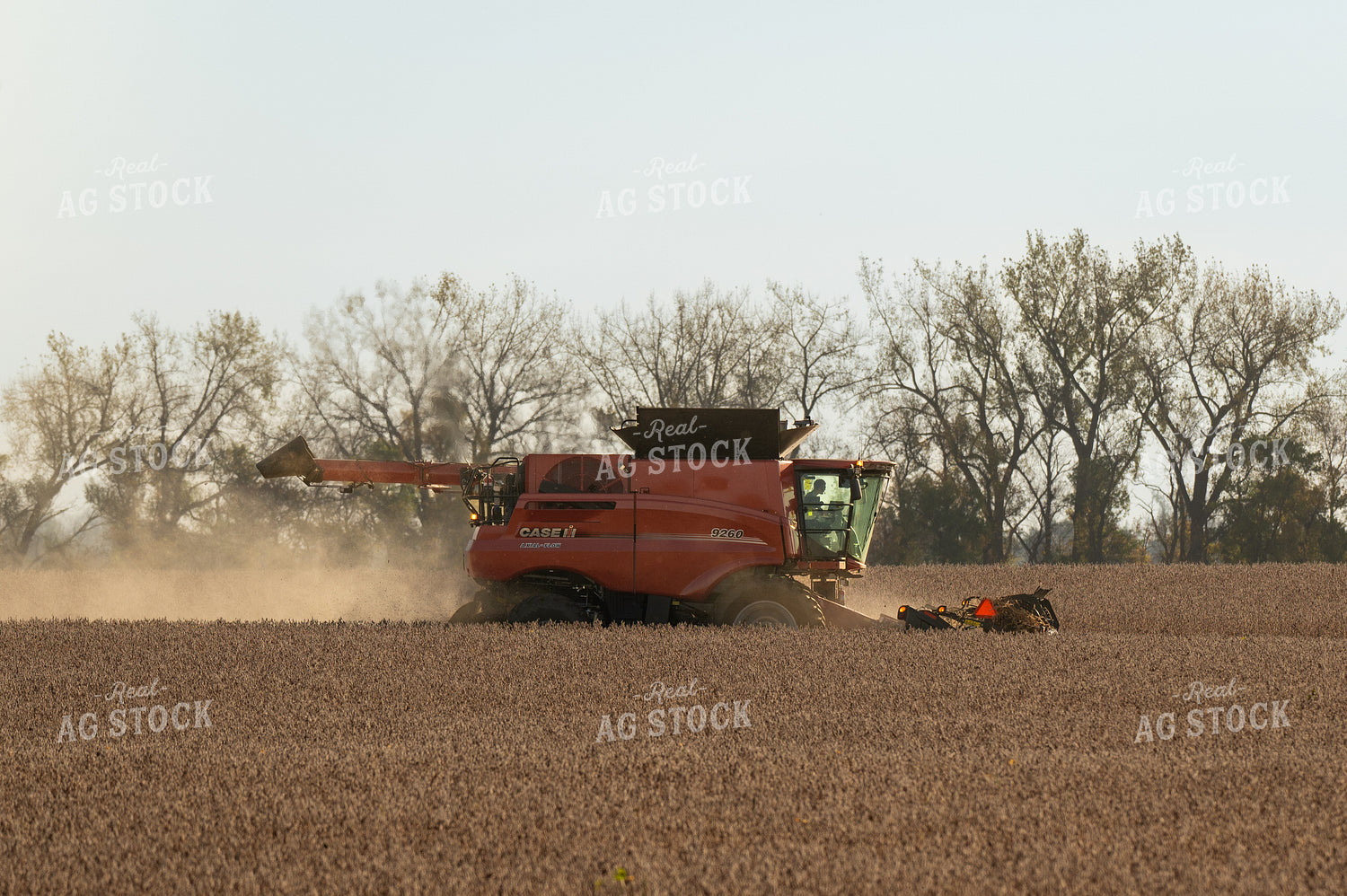 Soybean Harvest 185148