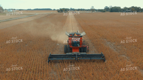 Soybean Harvest 85033